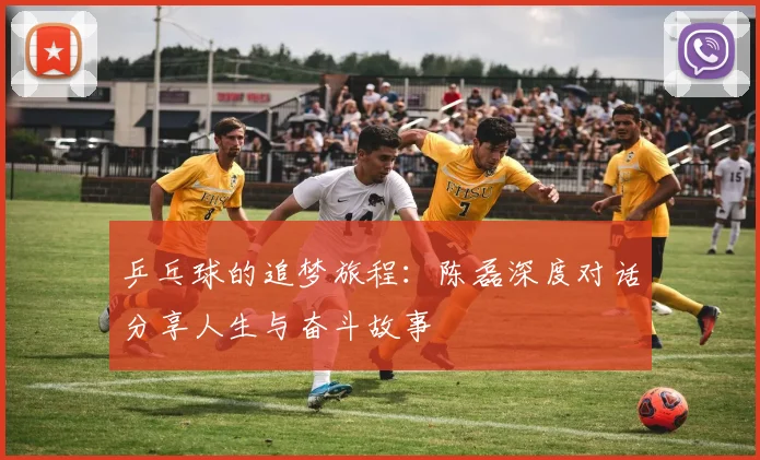 乒乓球的追梦旅程：陈磊深度对话分享人生与奋斗故事