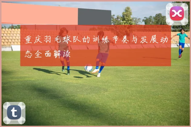 重庆羽毛球队的训练节奏与发展动态全面解读